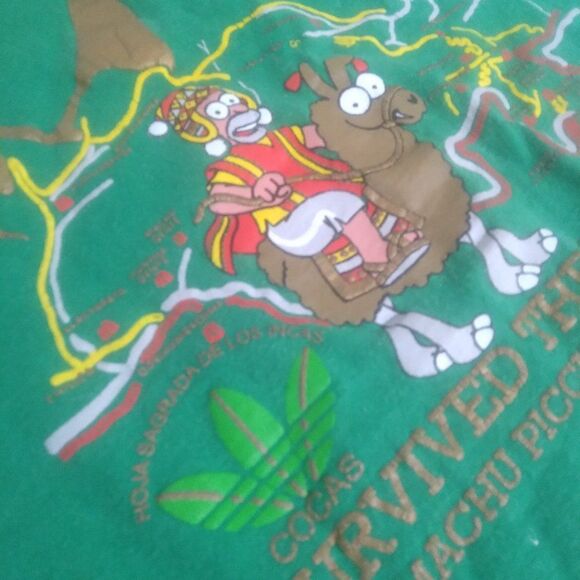 Vintage I Survived The Inca Trail Peru Homer Simpson Parody T-Shirt - Picture 4 of 9